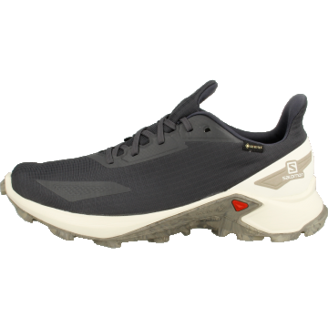 SHOES ALPHACROSS BLAST GTX