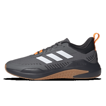TRAINER V