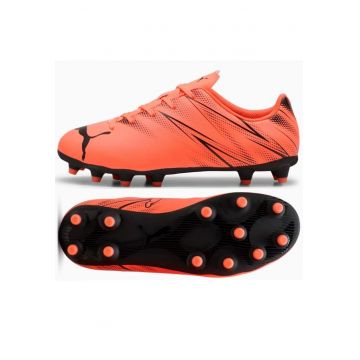 Pantofi sport -  BM220249