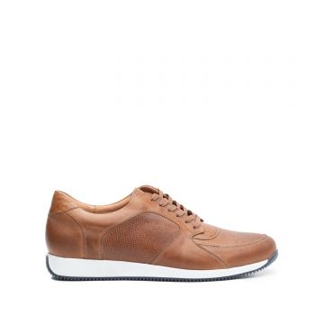 Pantofi sport barbati din piele naturala Leofex- 519 Cognac box