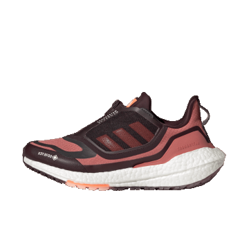 ULTRABOOST 22 GTX W