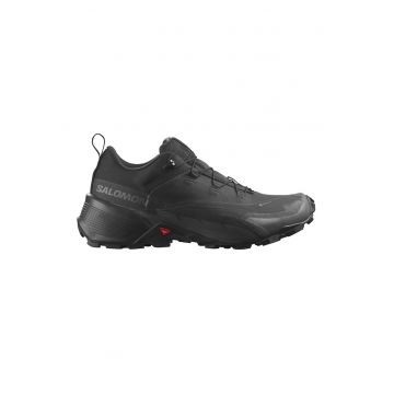 Pantofi pentru drumetii Cross Hike GTX 2